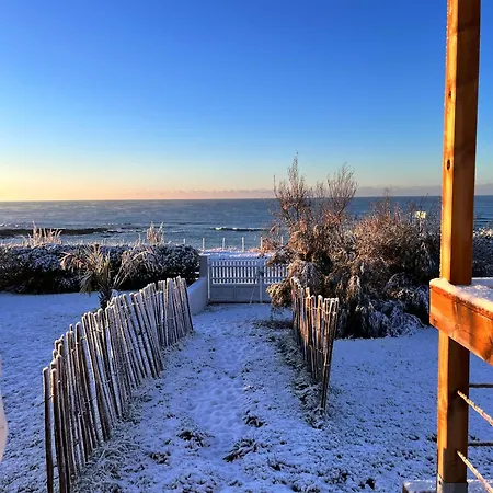 Pailletes 4p - Face *