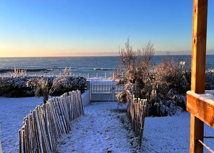 Pailletes 4p - Face *