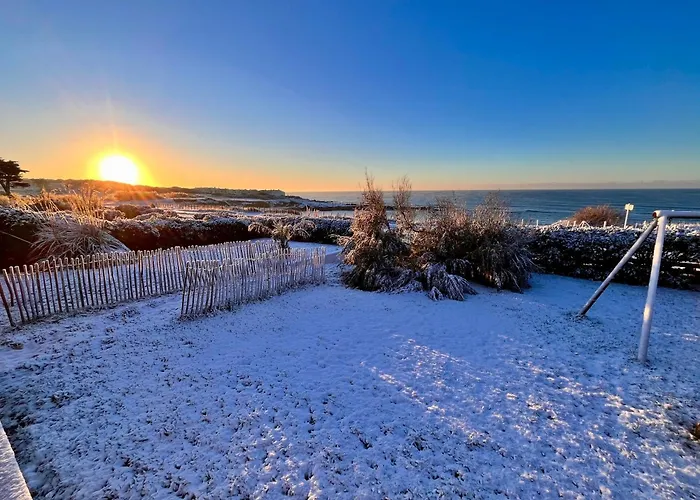 Pailletes 4p - Face Apartman